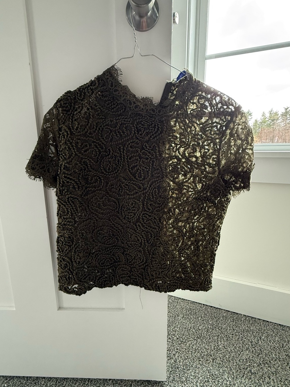 Zara Olive Green Lace Short Sleeve Top